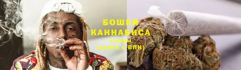 где купить наркотик  Горбатов  блэк спрут ССЫЛКА  Каннабис OG Kush 